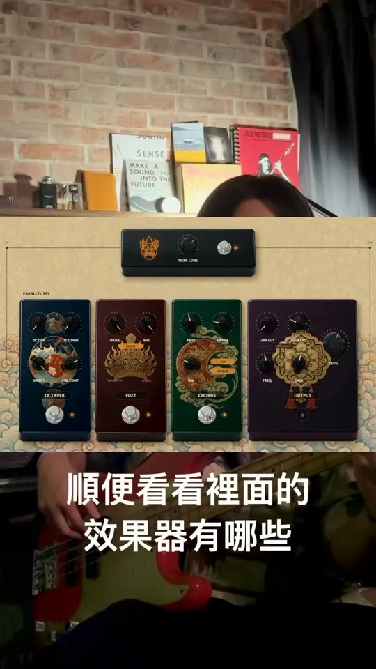 Ting 實測虎爺 General Tiger Bass